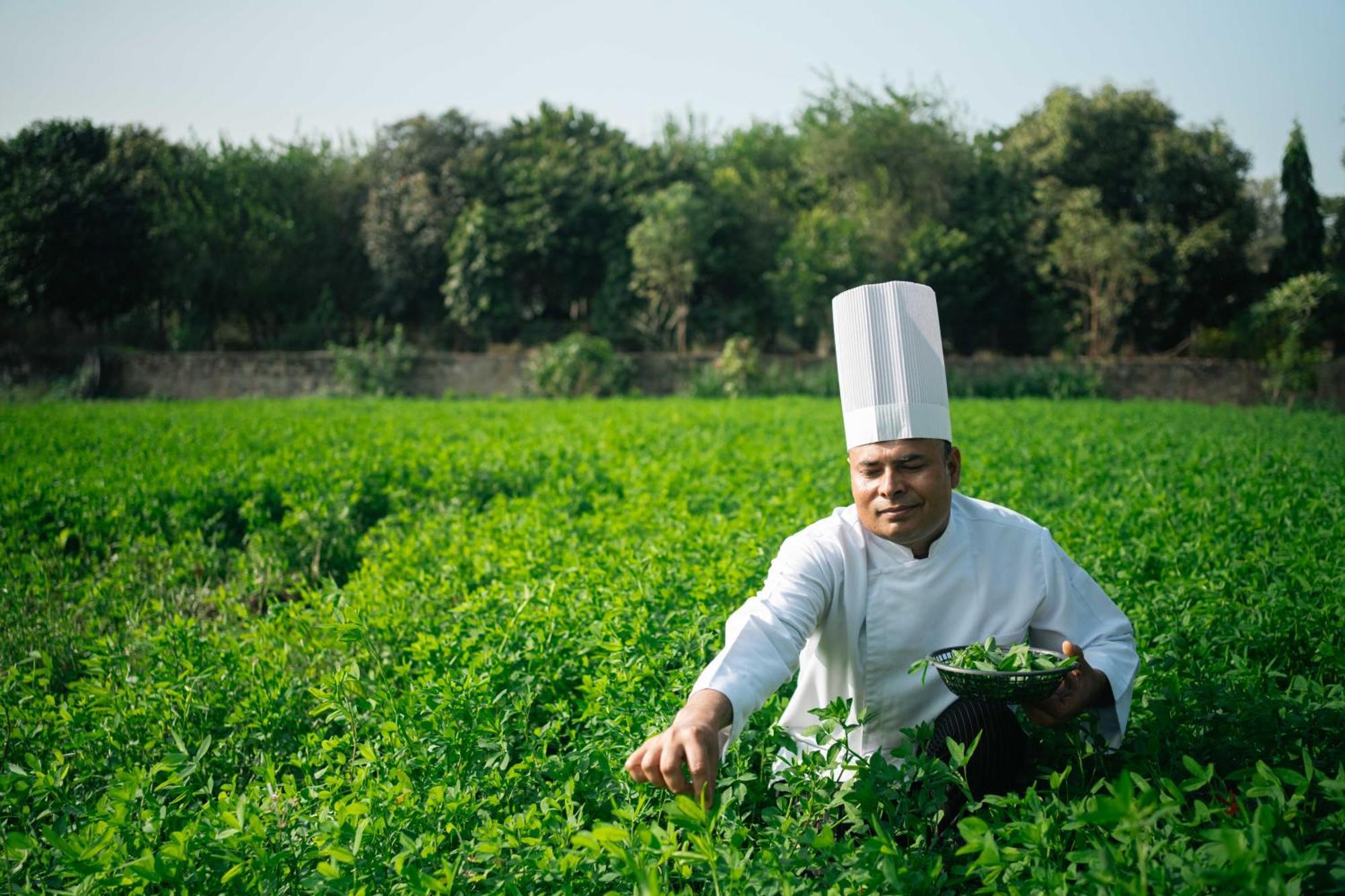Abhyaran Resort & Spa Ranthambore Sawai Madhopur Zewnętrze zdjęcie