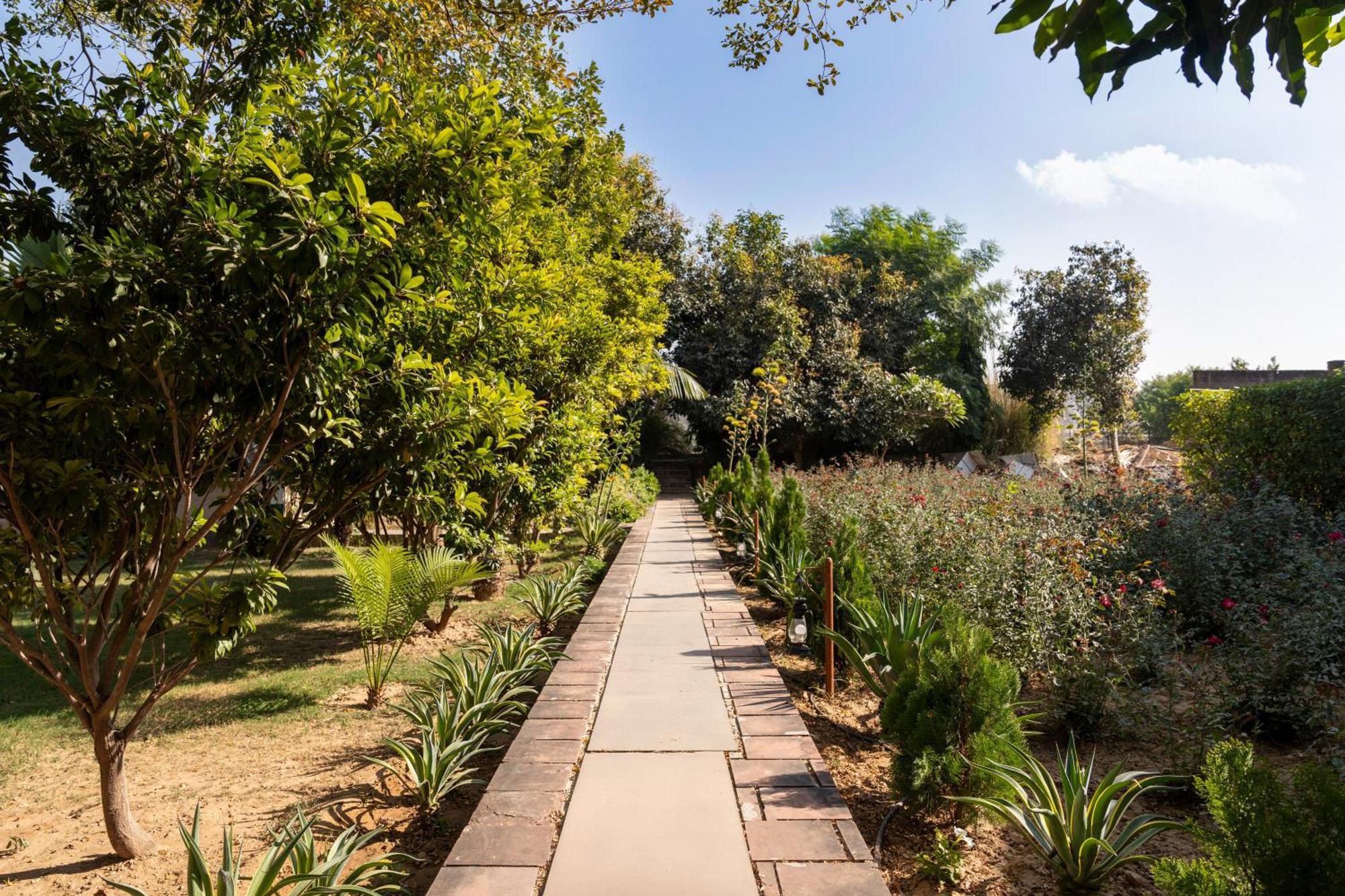 Abhyaran Resort & Spa Ranthambore Sawai Madhopur Zewnętrze zdjęcie